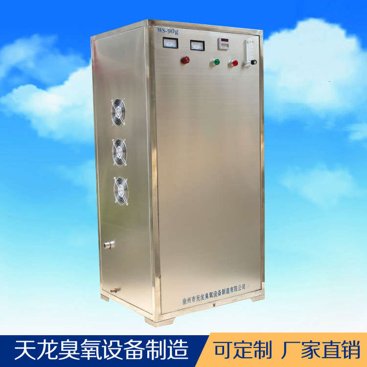 臭氧發(fā)生器 水處理臭氧消毒機(jī)WS-60g 廠家直銷 品質(zhì)保證