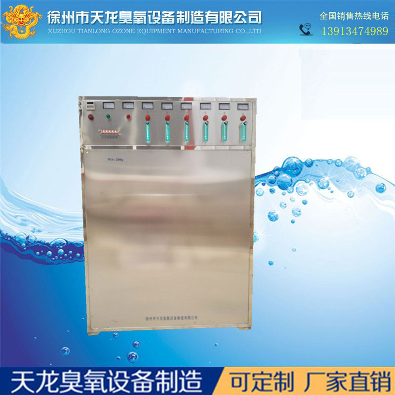 大型臭氧機(jī) WS-300g 水處理 曝氣式水消毒 臭氧發(fā)生器 污水處理